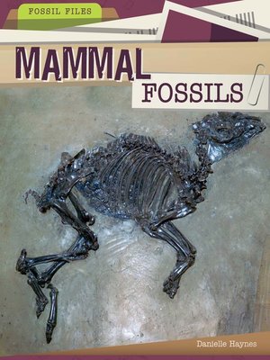 cover image of Mammal Fossils